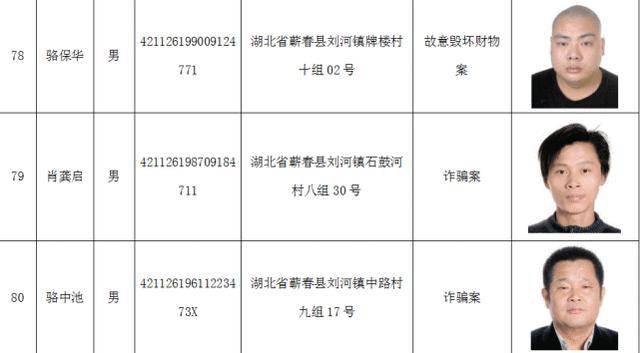 湖北逃犯最新消息，湖北通缉犯最新动态