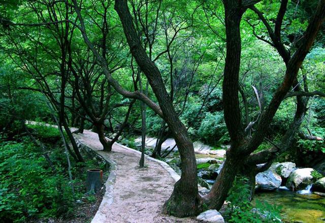 九寨沟景区最新动态-九寨沟景区最新资讯