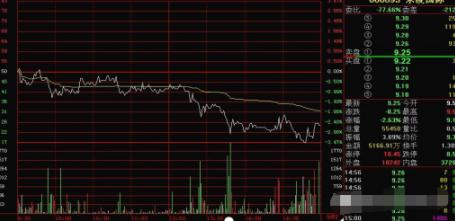 东凌国际最新消息｜东凌国际资讯速递