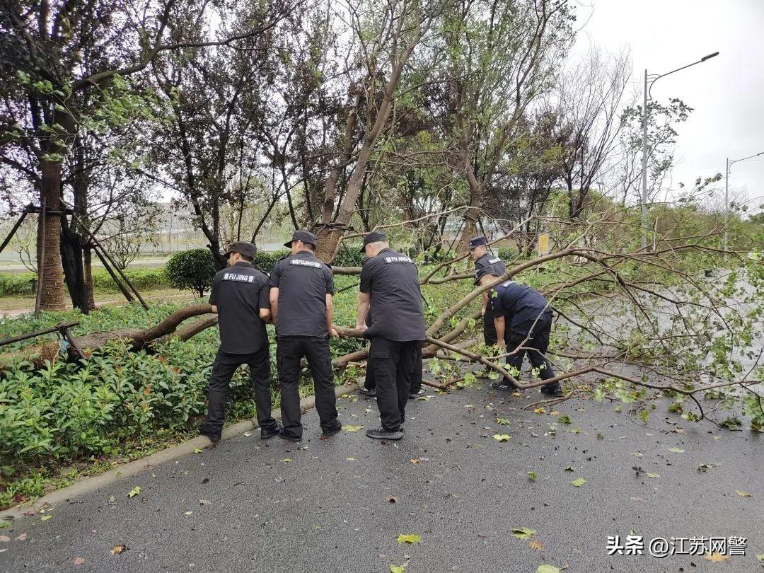 江苏地区防汛实时动态概述