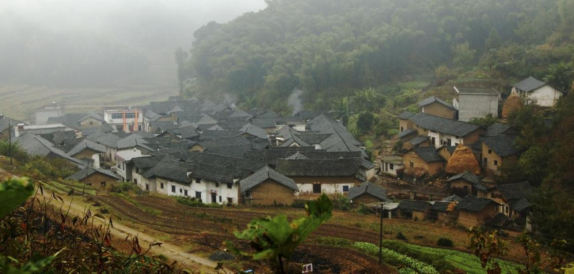 蔡市镇旅游村焕新升级，美好前景尽收眼底