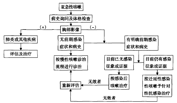 2025年度过敏性鼻炎权威治疗策略与最新指南解读